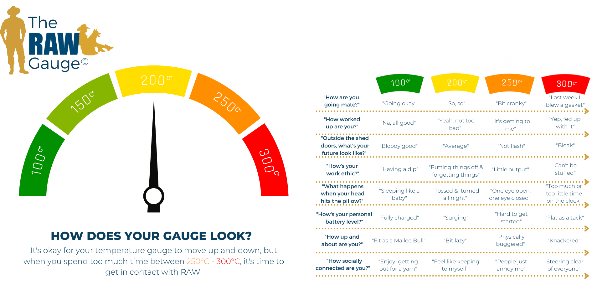 the RAW gauge